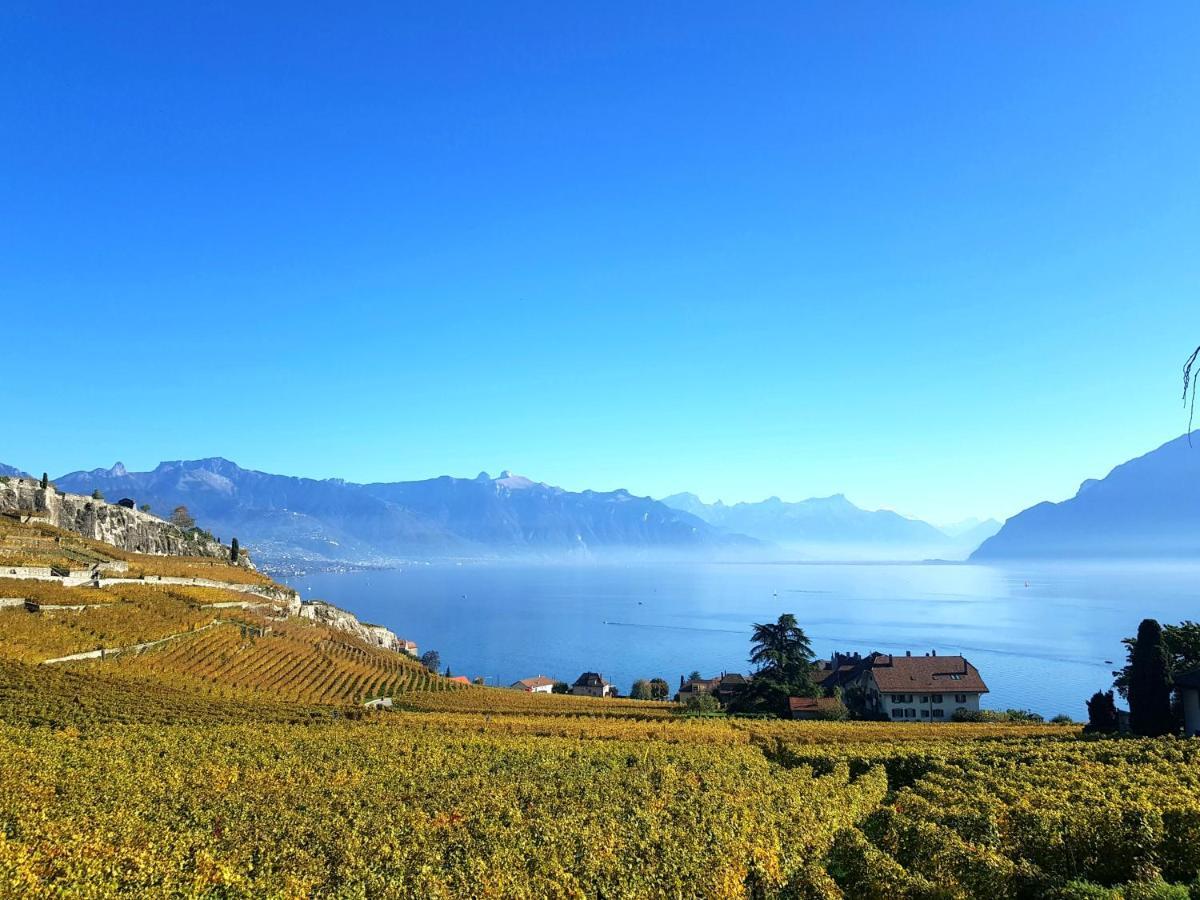 Montreux Holiday Home Exterior photo